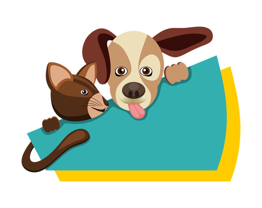 cão filhote